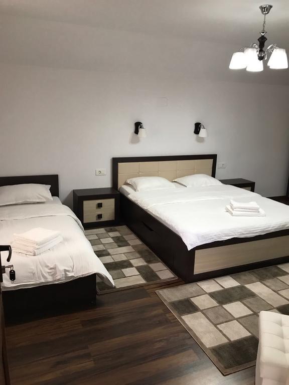 Vila Fan Confort Vişeu de Sus Exterior foto