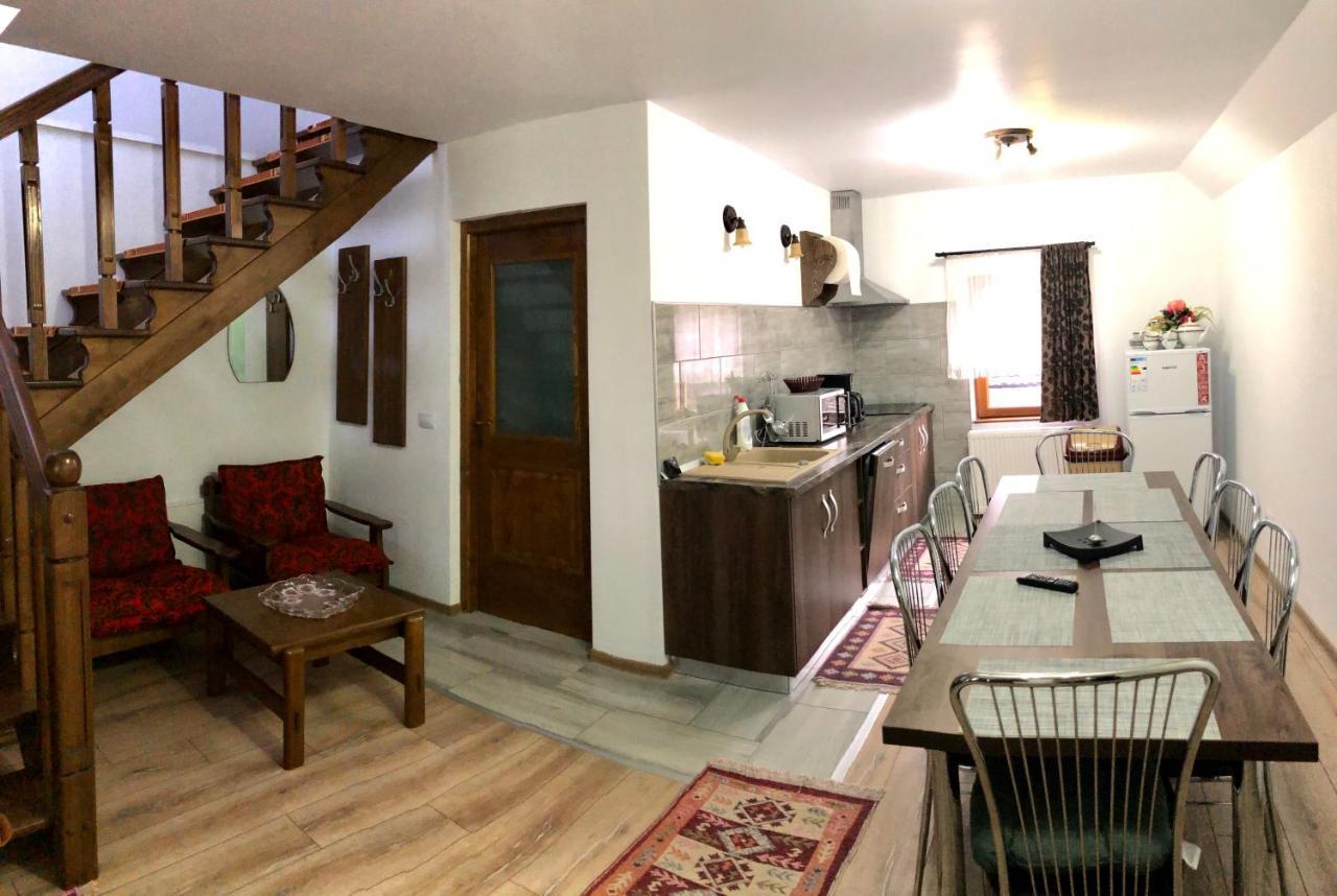 Vila Fan Confort Vişeu de Sus Exterior foto